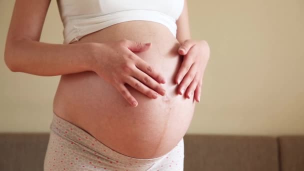 Une Mère Attentionnée Caresse Ventre Enceinte Deux Mains Sur Une — Video