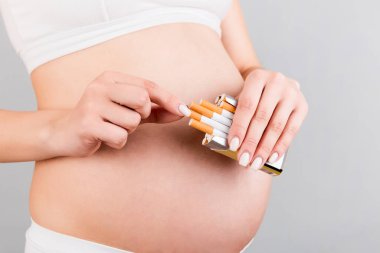 Gri arka planda hamile bir kadının ellerinde bir paket sigaranın kesilmiş görüntüsü. Kürtaj riski. Sigara bağımlılığı. Tehlikeli bir alışkanlık..