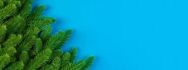 배경에 공간이 전나무로 배너의 크리스마스 컨셉트 — 스톡 사진