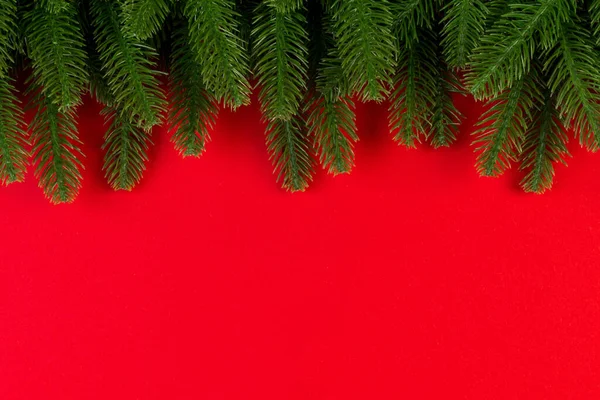 Top View Green Fir Tree Branches Colorful Background New Year — Stock Photo, Image