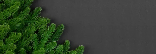 Top View Banner Colorful Festive Background Made Fir Tree Branch — Stock Photo, Image