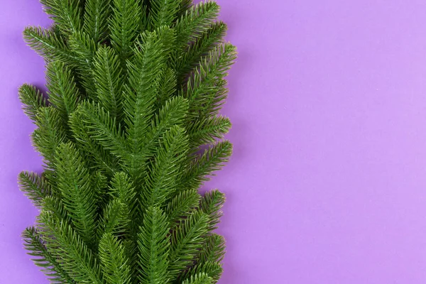 用冷杉树枝做的五彩缤纷的节日背景的顶部视图 有复制空间的圣诞假期概念 — 图库照片
