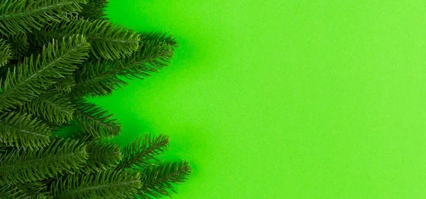 Top View Banner Frame Made Fir Tree Colorful Background Copy — стокове фото