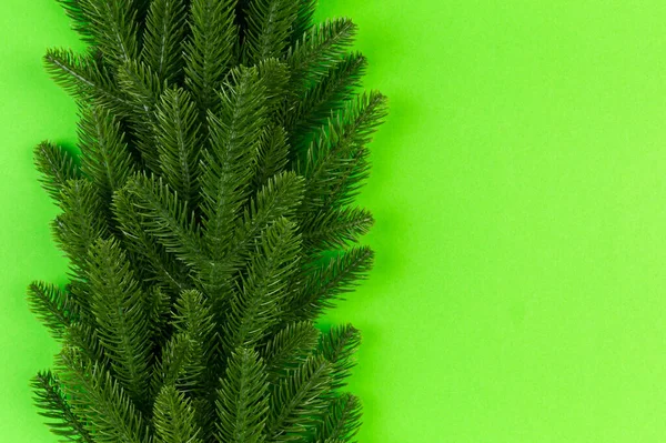 Vista Dall Alto Rami Abete Verde Sfondo Colorato Nuovo Concetto — Foto Stock