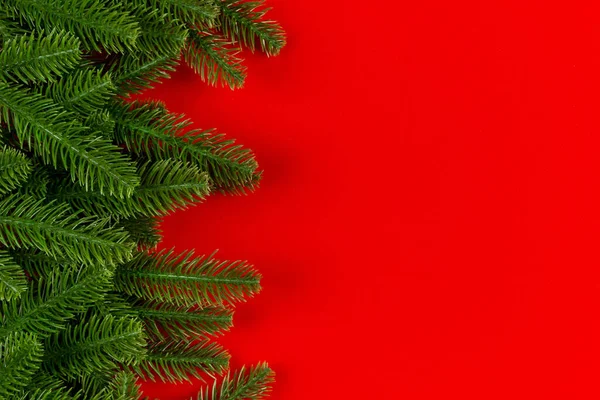 Top View Colorful Background Made Green Fir Tree Branches New — Stock Photo, Image