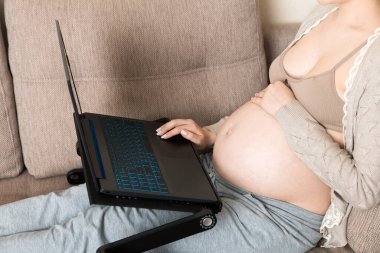 Hamile kadın evdeki koltukta dizüstü bilgisayar kullanıyor..