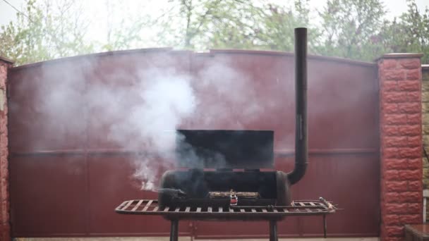 在烤架上煮什锦 露天烧烤时 在金属烤架上抽着多汁的肉香肠 花椰菜浓烟 街头食品概念 — 图库视频影像