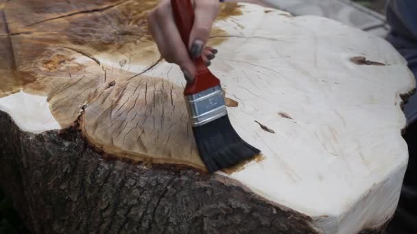 Gros plan de la table maison, qui est recouverte d'un vernis protecteur dans la menuiserie, la femme peint la peinture sur une surface en bois. Tache de bois revêtement de couleur noyer .