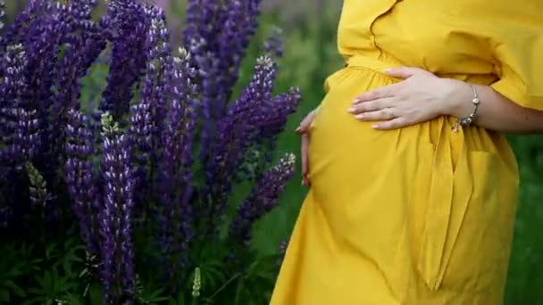 Une Jeune Femme Enceinte Heureuse Touche Doucement Étreint Son Ventre — Video