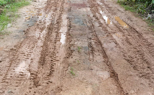 Rodas de trilha caminhão e bacia com planta verde no lado Fotografia De Stock