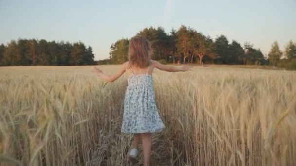 Happy Little menina bonita correndo através do campo ao pôr do sol — Vídeo de Stock