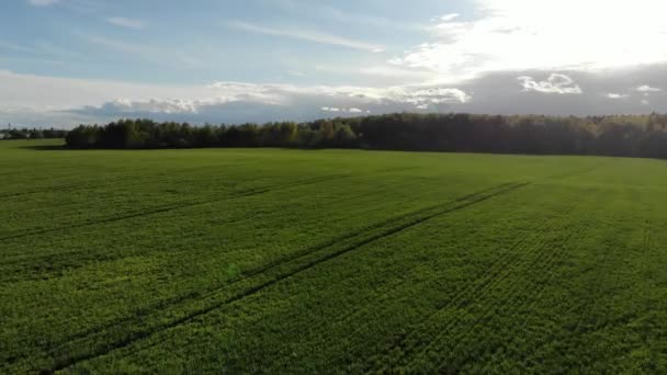 Vue aérienne sur le domaine de l'agriculture verte 