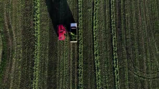 Вид с воздуха на поля для сбора урожая с комбинатом — стоковое видео