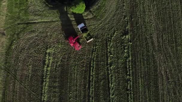 Vista aérea dos campos de colheita com combinar — Vídeo de Stock