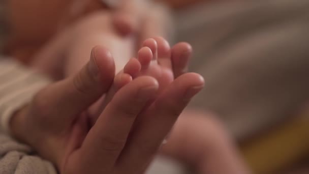 La mano di un giovane tiene la gamba di un neonato — Video Stock