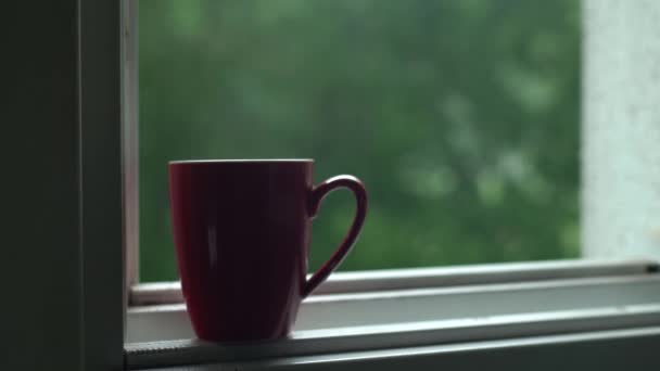 Tasse Kaffee an einem regnerischen Tag — Stockvideo