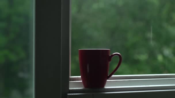 Tasse Kaffee an einem regnerischen Tag — Stockvideo