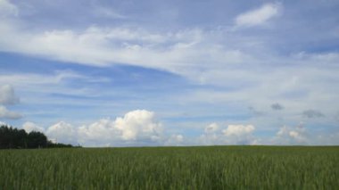 Alandaki beyaz bulutlar. Zaman Süreleri