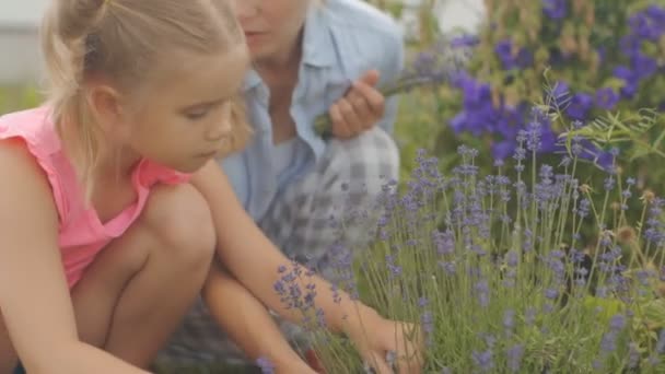 Mom and daughter in garden flowers — Stock Video