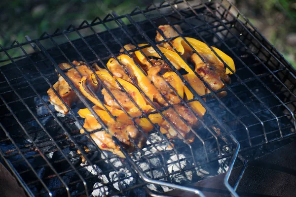 Grillen Freien — Stockfoto