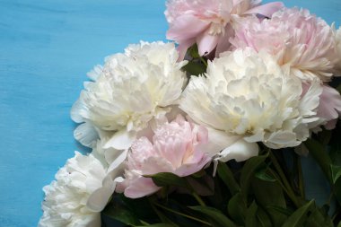 Mavi bir arka plan üzerinde beyaz ve pembe peonies şık buket