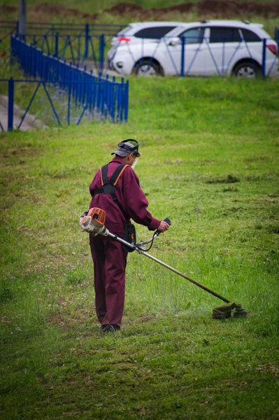 Cutting grass in garden with the trimmer.