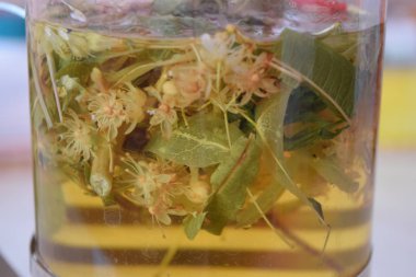 Linden bitkisel çay çay potu yakın çekim. Kireç bitkisel çay.