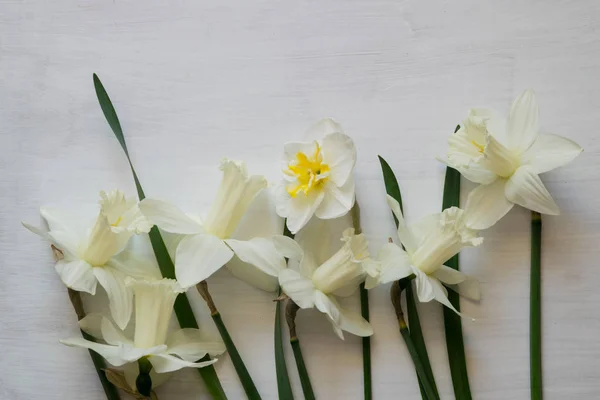 Ljusa Vit Påsklilja Blommor Vit Målade Brädor — Stockfoto