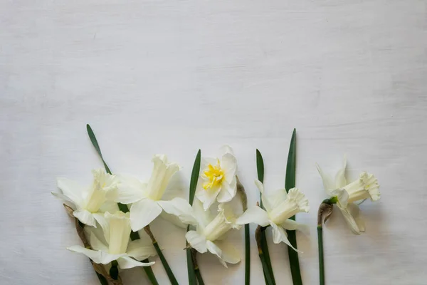 Ljusa Vit Påsklilja Blommor Vit Målade Brädor — Stockfoto