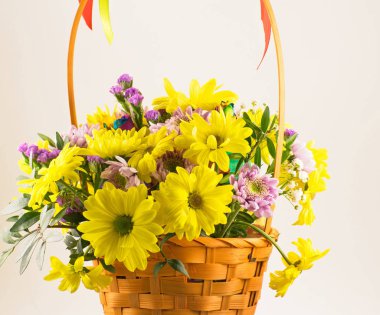 Güzel buket krizantem hasır sepet içinde. Sepet içinde sarı krizantem.