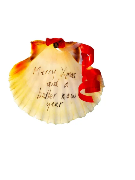 Boże Narodzenie Napis Powłoce Wesołych Świąt Bożego Narodzenia Shellu — Zdjęcie stockowe