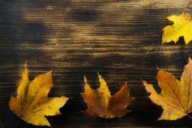 Sonbaharın sonbahar arka plan ahşap tahta üzerinde yapraklar. Sonbahar akçaağaç yaprakları.