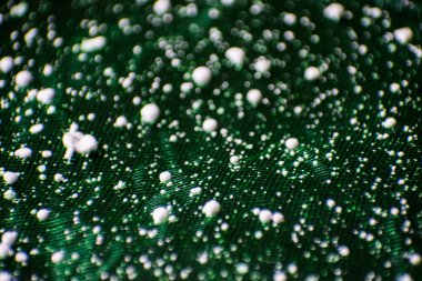 Yeşil doku deseninin. Arka plan duvar kağıdı ekran, koruyucu broşürü kapak sayfası olarak kullanılabilir. Seçici odak