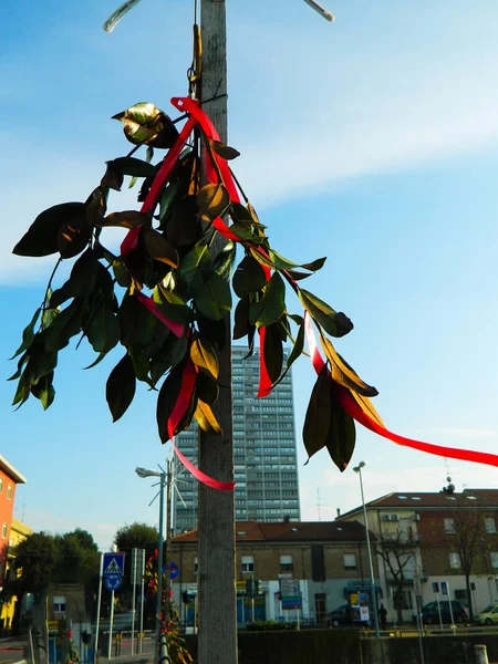 Nez Garni Avec Des Feuilles Laurier Avec Ruban Rouge Décor — Photo