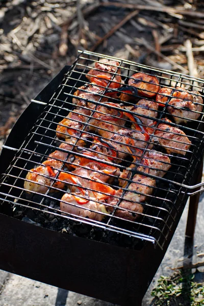 Açık Havada Mangal Barbekü Yemek — Stok fotoğraf