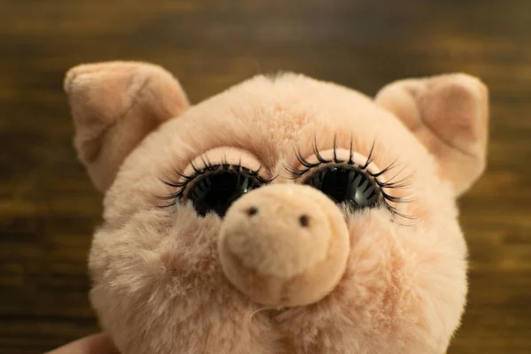 Little Cute Pig Wooden Background Closeup Soft Toy Pig Symbol — Stock fotografie