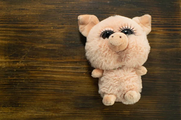 Little cute pig on wooden background. Closeup soft toy pig. Symbol of Chinese New Year. Children's Pig Toy.