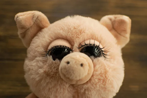 Little Cute Pig Wooden Background Closeup Soft Toy Pig Symbol — 스톡 사진