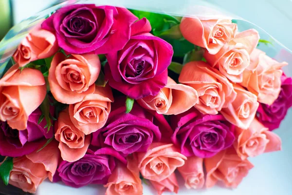 Background of peach and crimson roses. Beautiful coral roses. Bouquet of crimson and peach roses.