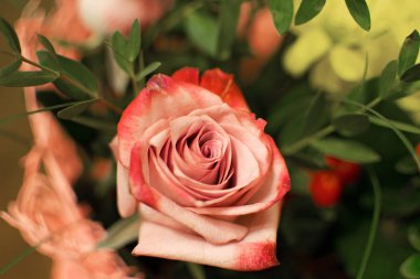 Güzel buket sarı kasımpatı ve yeşil yaprakları, poster ya da tatil için tebrik kartı ile pembe gül. Narin pembe yakın yükseldi.