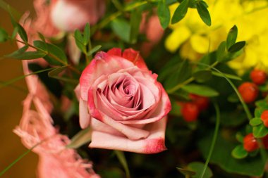 Güzel buket sarı kasımpatı ve yeşil yaprakları, poster ya da tatil için tebrik kartı ile pembe gül. Narin pembe yakın yükseldi.