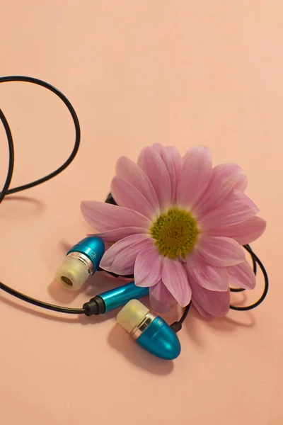 Красиві сучасні цифрові пластикові вакуумні сині навушники з дротами для прослуховування музики на рожевому фоні . — стокове фото