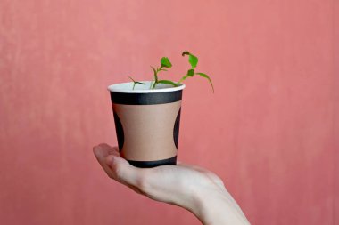 Mercan arka planda potun içinde kadın el tutma tesisi