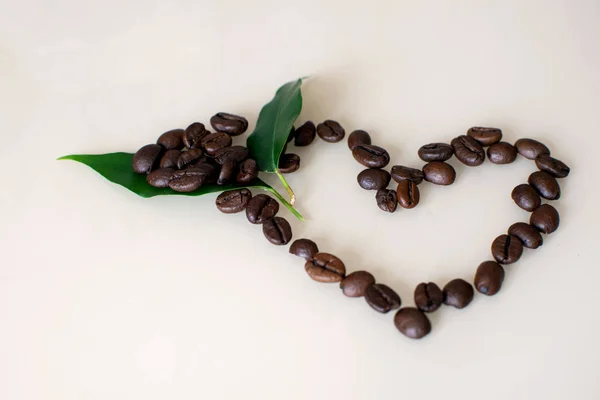 Кофейные зёрна с листом в форме сердца на светлом фоне . — стоковое фото
