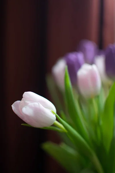 Pembe ve mor laleler kahverengi zemin üzerinde. Seçici odak.