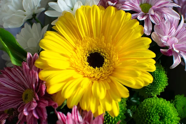 Piękne żółte gerbera zbliżenie z chryzantemami. Bukiet kwiatów. — Zdjęcie stockowe