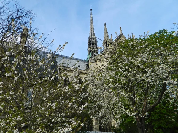 Parijs, Frankrijk - 22 april 2013: Notre Dame buitenkant, middeleeuwse katholieke kathedraal. — Stockfoto