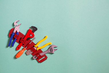 Çocuk oyuncak plastik aletler üreticisi ve marangoz.