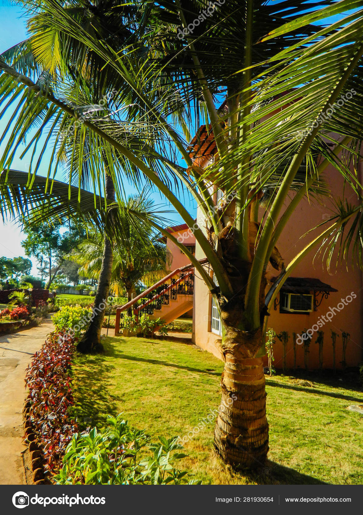 The Territory Of The Hotel In India Goa Stock Photo - 