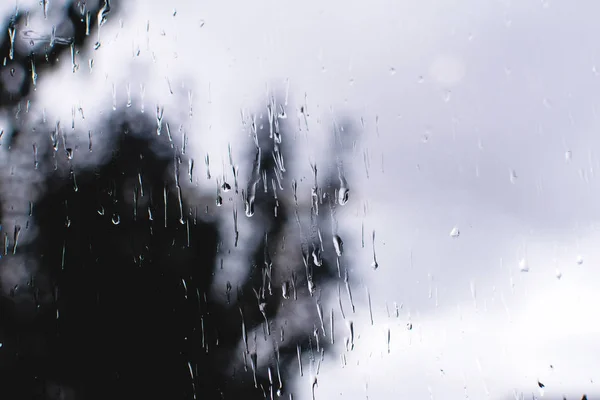 Gotas de chuva no vidro com árvore embaçada no fundo . — Fotografia de Stock